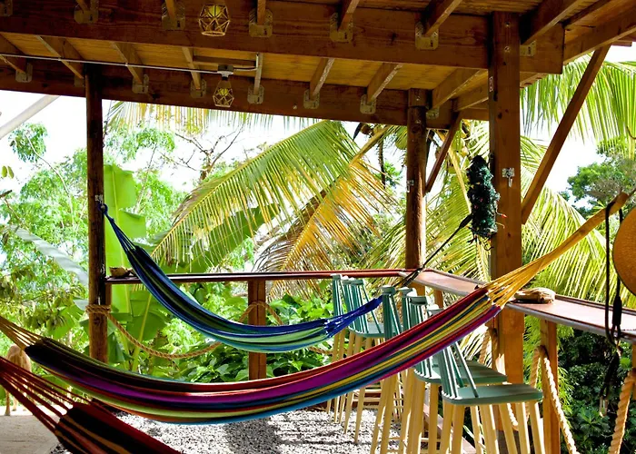 Finca Ki' - Eco Farm Stay Bed & Breakfast - El Yunque Region