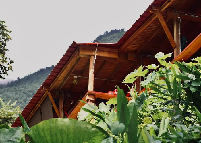 Finca Ki' - Eco Farm Stay Bed & Breakfast - El Yunque Region