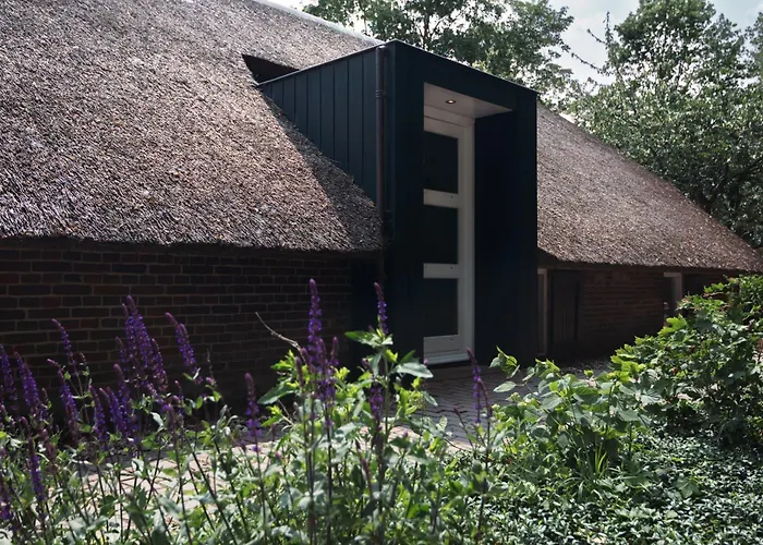 Zwolle (Overijssel) Bed & Breakfasts 
