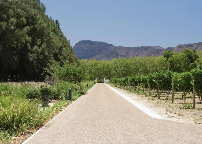 Chambray Estate - The Terraces In The Vines