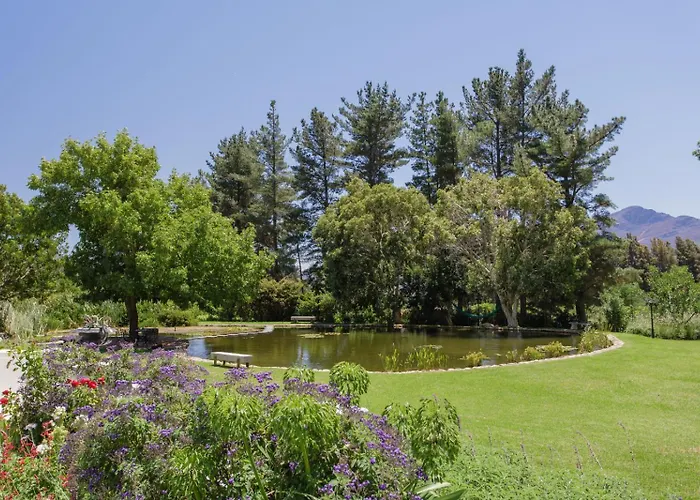 Chambray Estate - The Terraces In The Vines