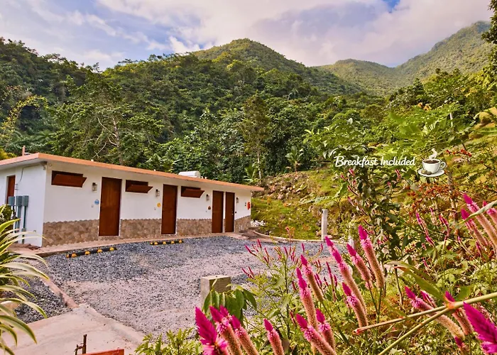 Isla Culebra Bed & Breakfasts 