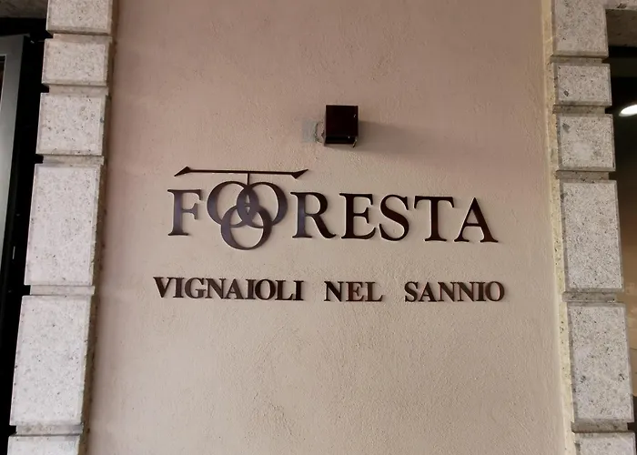B&B Foresta Vini