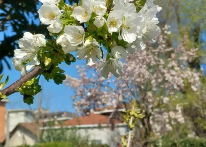 B&B delle Arti