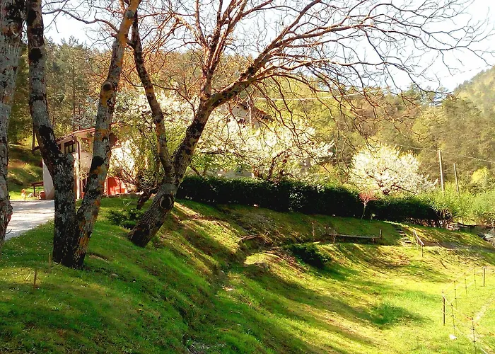 B&B Paradiso