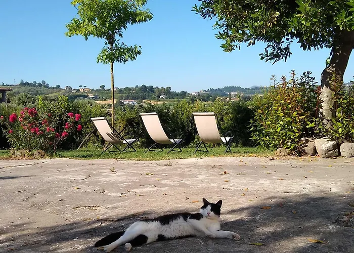Le Piracante, Rural Retreat&B&B Caiazzo