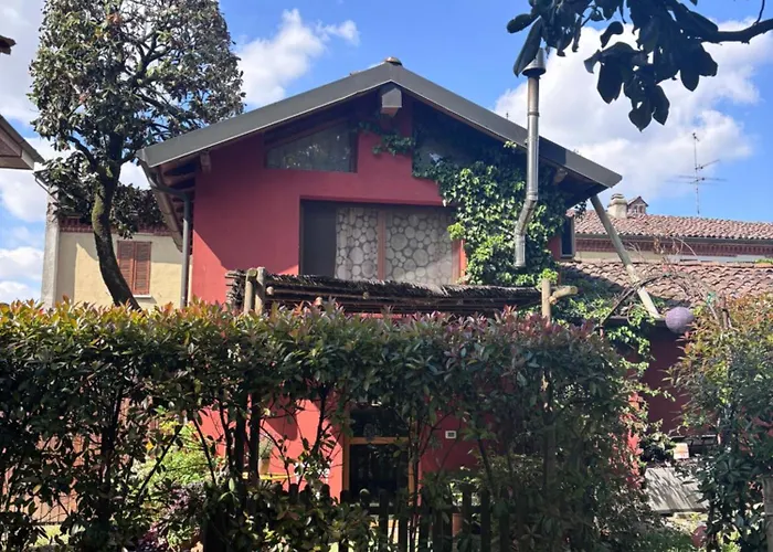 Il Pettirosso
