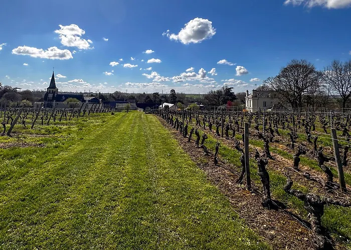 Domaine Beaumont - Vignoble & Maison D'Hotes Vigneronne