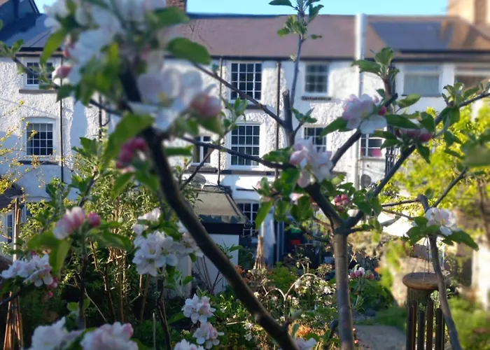 Hiraeth Homestay Xxx