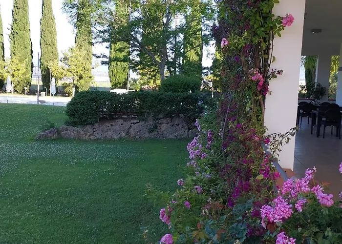 B&B Radici24