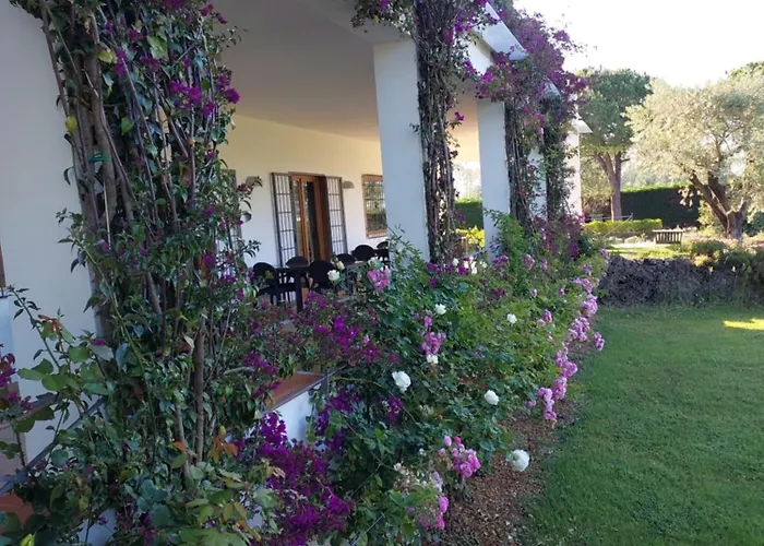 B&B Radici24