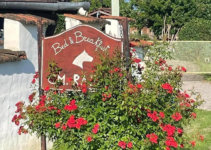 B&B Cm Ranch