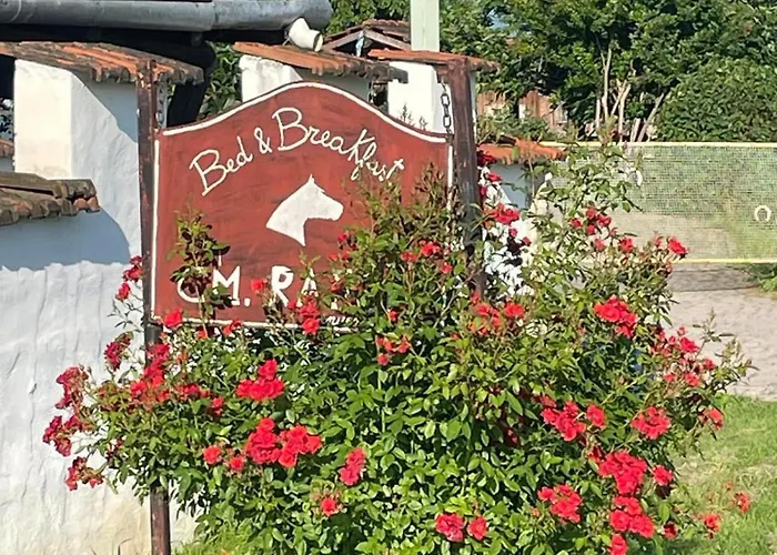 B&B Cm Ranch