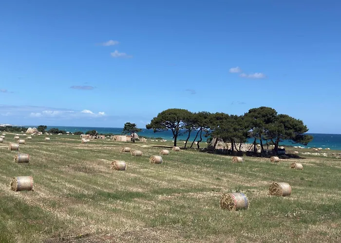 Le Scale Di Pietra