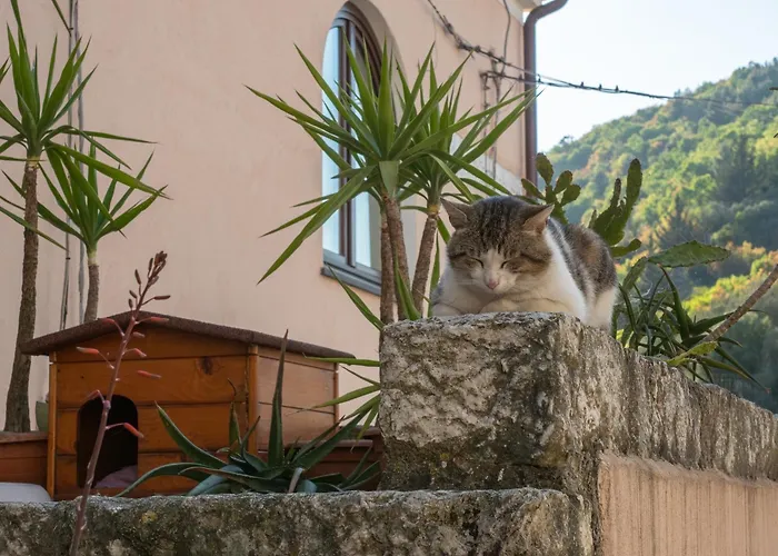 Da Nonna Pasqualina