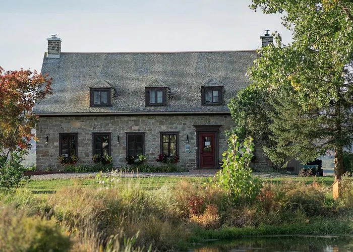 Domaine Steinbach Cidrerie B&B Distillerie
