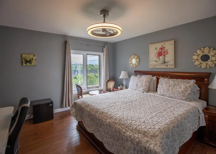 Hamilton Bed & Breakfasts 