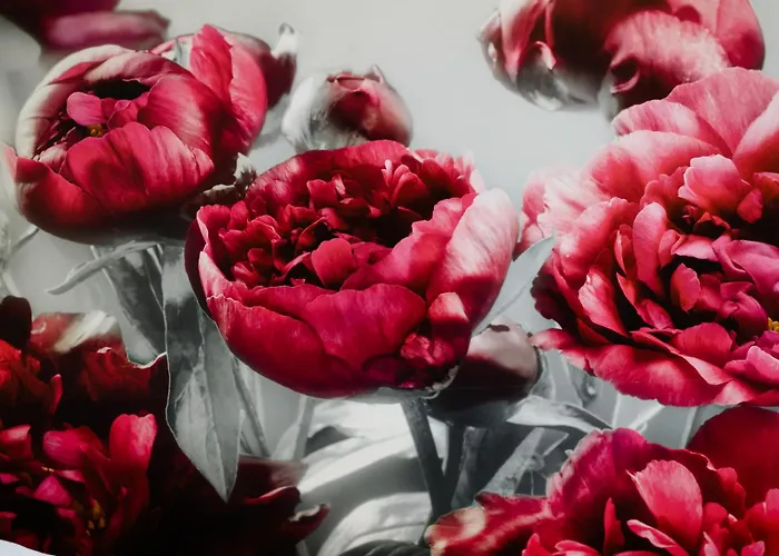 Pivoine Chambre D Hotes B&B
