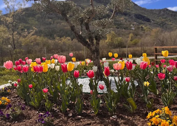 Sunny Valley Retreat Near Skadar Lake