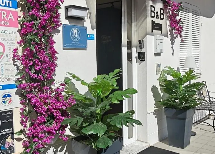 Il Vico del Greco B&B