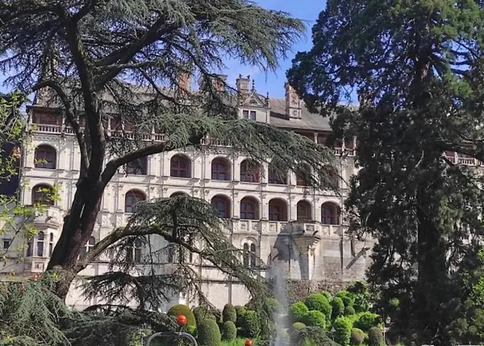 Blois Bed & Breakfasts 