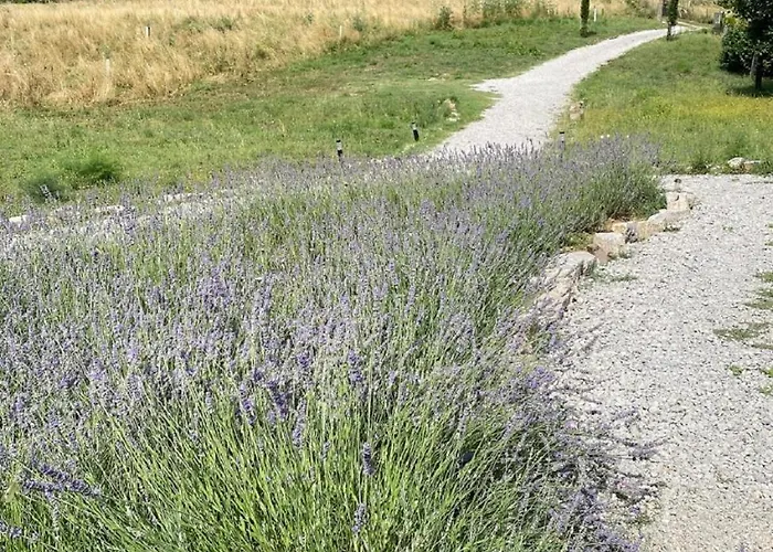 i due cipressi - Bed&Breakfast