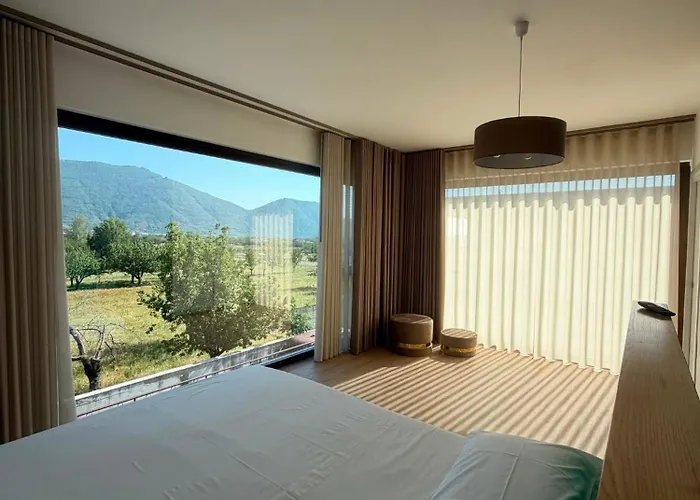 Vico Suite