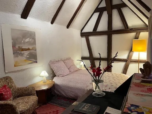 Freiburg im Breisgau Bed & Breakfasts 