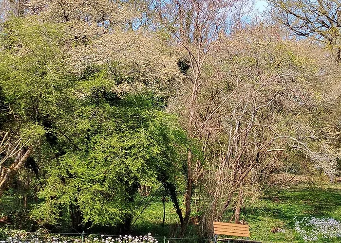 L Echappee Verte