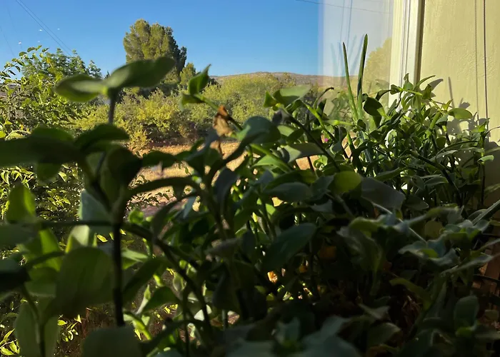 Natures Oasis Sanctuary B&B Organic Gardens