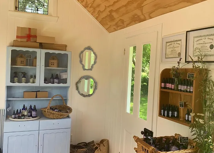 Quail Farm, Colonial Charm