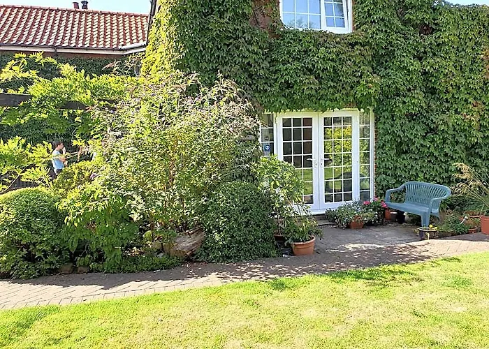 The Summer Room