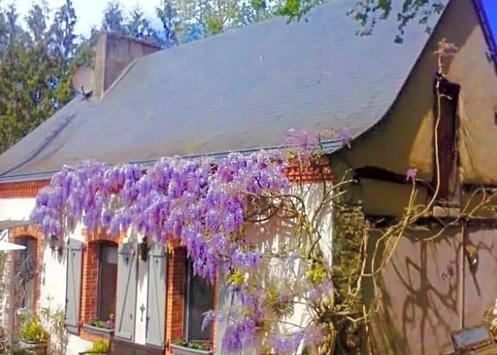 Moulin Du David
