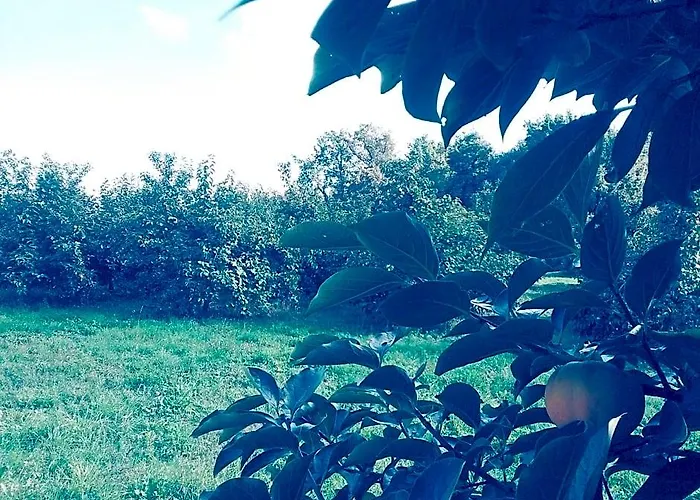 Cascina Bucolica