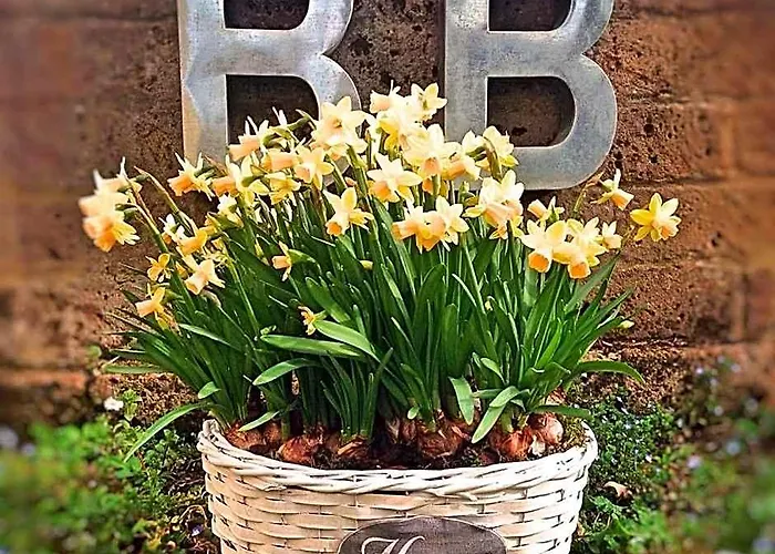 B&B Nascondino