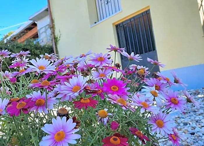 B&B Cà di Bollo