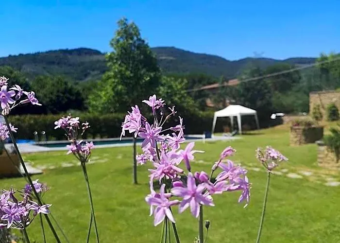 Alba Morus Bed&Breakfast sentiti a casa nel cuo