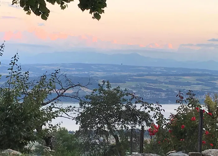 Maison d hôtes Les Bruyères