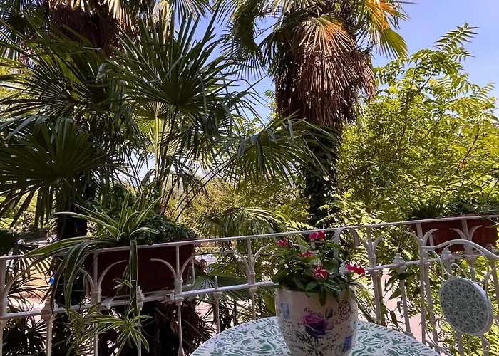 Le Palme Di Como