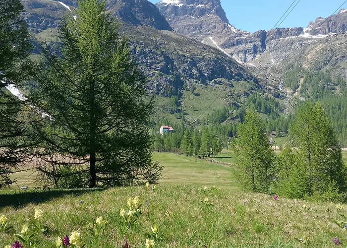 Il Pino B&B