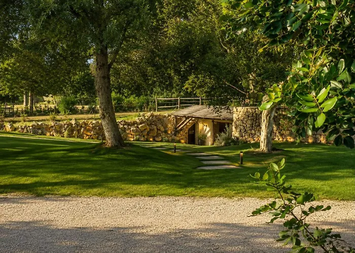 Olympus Park Amnesia