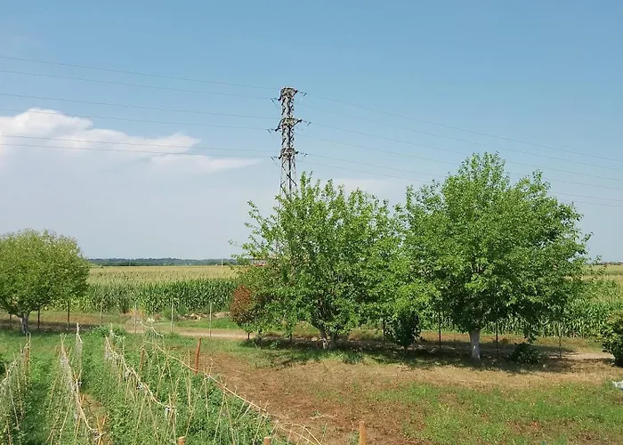 Cascina Tesoriera