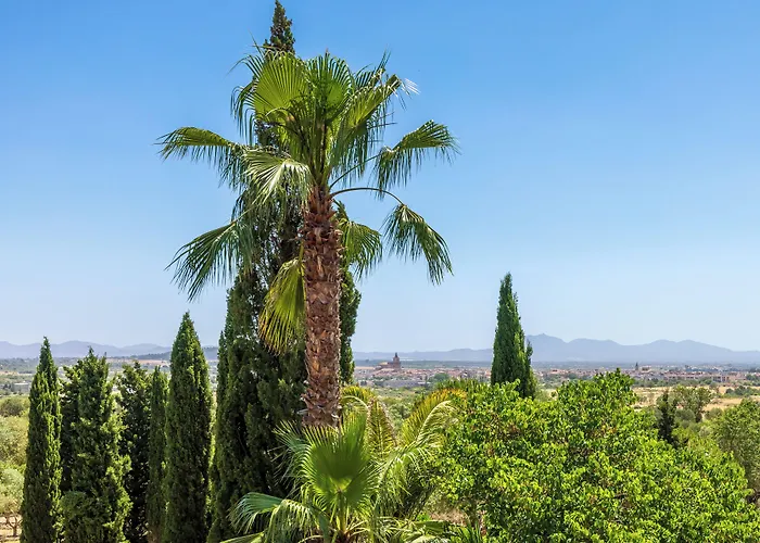 Agroturismo Finca Son Jorbo - Adults Only