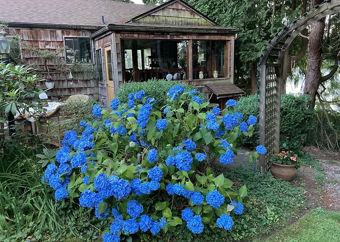 Cottage Lake Bed And Breakfast