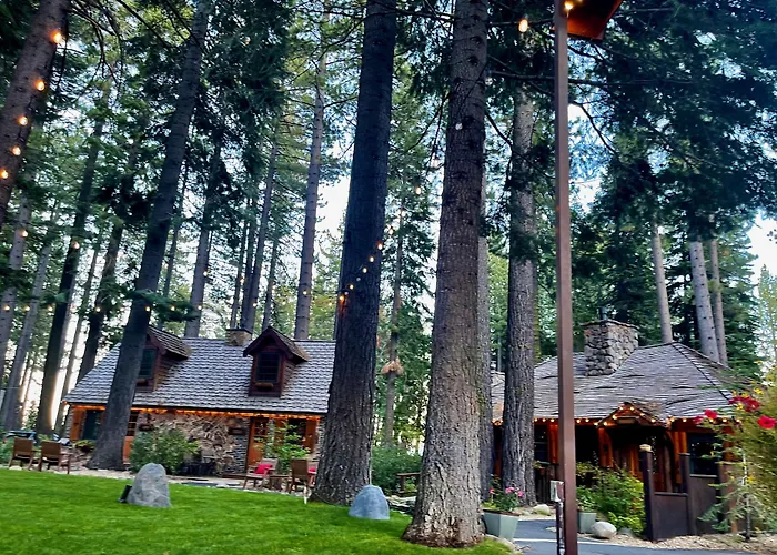 Lotus Bed & Breakfasts 