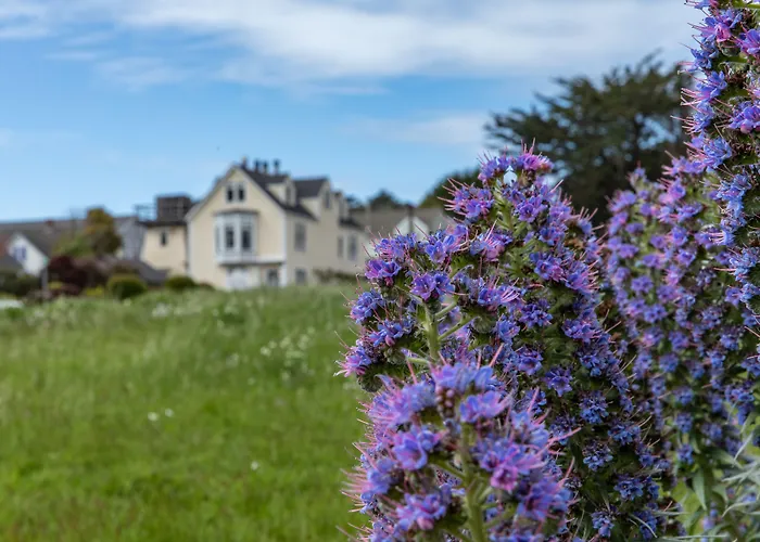 Headlands Inn Bed And Breakfast