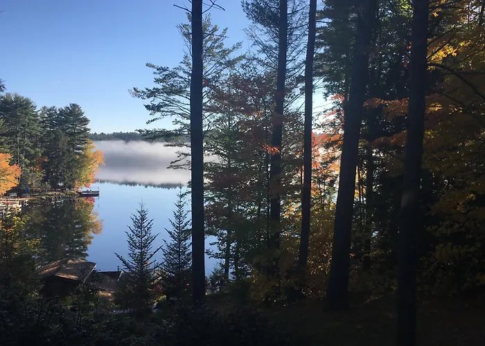 The Fern Lodge