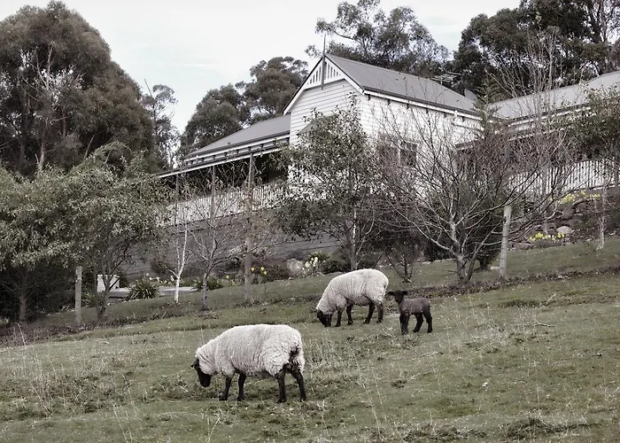 House On The Hill Bed And Breakfast