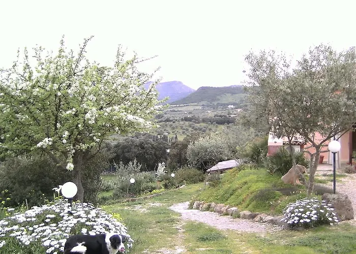 B&B Valli Verdi