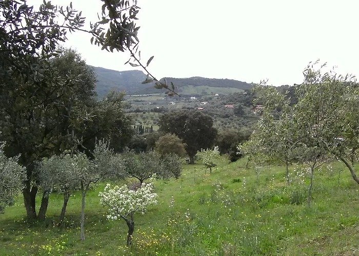 B&B Valli Verdi
